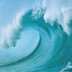 Meet your Posher, Maddie